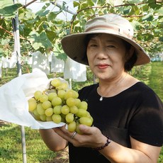 숲밑에농원 영동 고당도 샤인머스켓 망고 포도 2kg, 샤인머스켓 4-5송이 2kg