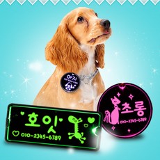 조아애드 LED강아지 이름표 원형 애견목걸이, 핑크_원형