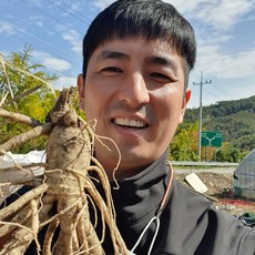 금산인삼 5년근 6년근 세척 무세척 수삼 가정용, (세척)난발 30뿌리-750g