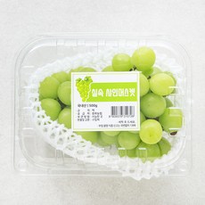 중화농협 실속 샤인머스켓, 500g, 1팩