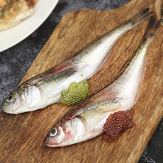 제철 급냉한 생물 알 도루묵 알배기, 1개, (생물) 도루묵 1kg (12미전후/암수랜덤)