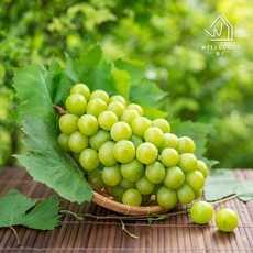 [웰굿] 산지직송 영동 고당도 망고포도 샤인머스켓 2kg(4-5수), 단품