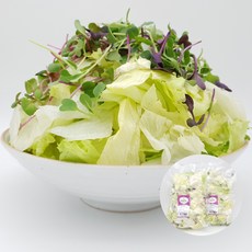 의령농산 건강채소 당일채소 당일제조 당일발송 어린잎 믹스샐러드 대용량 1kg, 어린잎 믹스 1kg
