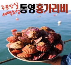 [당일새벽채취+해수고압세척] 국산 통영 세척 비단 활 홍 가리비 1kg 2kg 3kg 4kg 5kg 10kg 조개구이