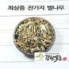 (강원약초) 강원도 자연산 벌나무잔가지 300g 벌나무껍질 벌나무 슬러시 벌나무즙, 벌나무껍질200g