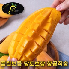 애플망고 태국망고 무지개망고 마하차녹 선물세트 2KG 4KG 5KG, C.혼합망고 실속형 2KG