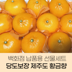 [전국 당도 1등] 제주 산지직송 황금향 천혜향 선물세트, 로얄과 2kg