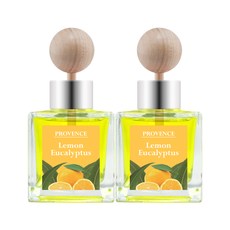 프로방스 카 디퓨저 50ml, 레몬유칼립투스, 2개입
