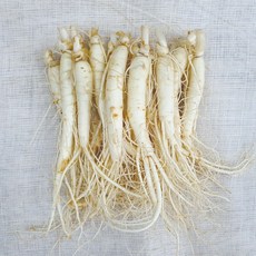 22년 햇수삼!! 삼키우는마을 고려수삼 세척 무세척 수삼 가정용, 나.원30-470g-무료세척