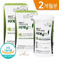 비에날씬 유산균 다이어트 bnr 17 김희선 다이어트보조제 체지방 감소 도움 락토바실러스 가세리 기능성 인정 캡슐, 120캡슐 (2개월 용량)