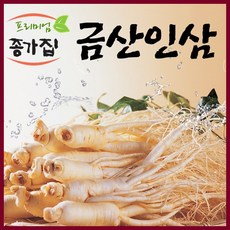 금산인삼 국산 인삼 수삼 세척가정용난발파삼, 1팩, 세척가정용난발파삼375g