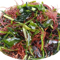 쿡북 완도산 6종 건해초모듬세트 100g, 1팩
