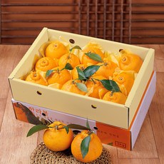 [푸르젠] 명절특가 당도좋은 제주 한라봉 선물세트, 1개, 3kg(10~13과)