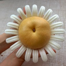 [부자밥상] 햇배 나주배 원황 신고 추석 설 제수용 선물용 가정용 4kg 7.5kg, 실속형, 4kg(6과내외)