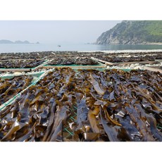 거제도 특산품 자연산 갯닦기 돌미역 산모미역 150g 300g 500g 1kg 덤 50g 100g, 1개