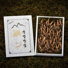 강원도 6년근 산양산삼 고급선물세트, 1세트, 미니(12~25뿌리)