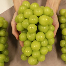 샤인머스켓 망고포도 청포도 고당도 프리미엄, 샤인머스켓 1kg(2수)