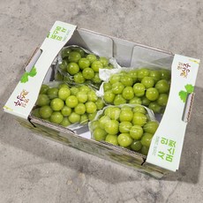 오늘의경매 고당도 샤인머스켓 망고포도 프리미엄제품, 품질보장 4kg 특 선물용 (4-5수)