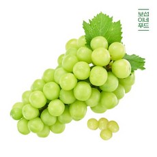 [보섭이네푸드] 상콤달콤 샤인머스켓 1kg1-2수, 없음