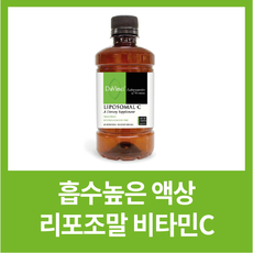 리포조말비타민C 미국 다빈치랩 면역력 항산화 흡수율높은 영양제, 300ml, 3개