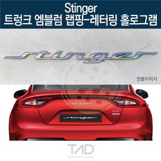 TaD 스팅어 순정 트렁크엠블럼 랩핑 레터링홀로그램 CK, 엠블럼미포함