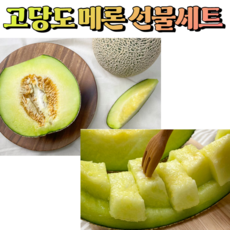 프리미엄 고당도 최상급 머스크 메론 특대 과일 제수용 멜론 추석 설 명절 선물 세트, 1. 메론 선물세트 4kg 2수