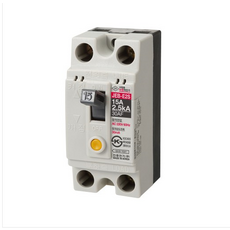 진흥전기 JEB-E2SH(15A) 고감도형 산업용 누전차단기 2P 15A AC220V 2.5KA