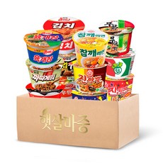 [햇살마중] 농심+오뚜기 용기컵라면 12종 새우탕+신라면+김치 큰사발+육개장 큰사발+ 튀김우동+ 무파마+짜파게티+참깨라면+진라면순한맛+진라면매운맛+스파게티+진짬뽕, 1세트