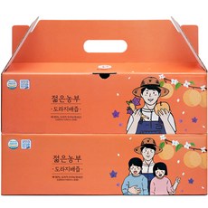 푸릇담 젊은농부 도라지배즙 30p, 3000ml, 2개