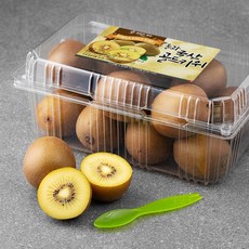 올바른과일 올과 국산 골드키위 + 키위 스푼, 1.5kg(14~16입), 1개