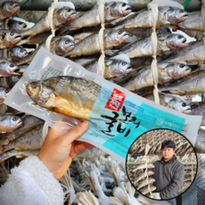 영광 법성포 찐보리굴비 3분OK 내장제거 특대 31~32cm 가정용, 10팩