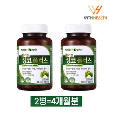 위드헬스 혈액순환 은행잎추출물 영양제 징코 빌로바 플러스 (4개월분), 2병, 600mgx60정