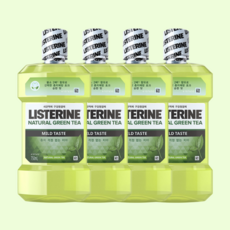 LISTERINE 리스테린 그린티 마일드 순한맛 750ml 4개