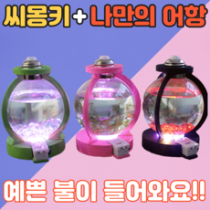 디디시 씨몽키 바다새우 키우기 세트, 3개