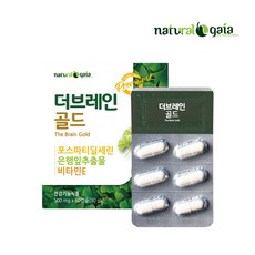 더 브레인 골드 60캡슐 기억력 혈행개선에 도움 (포스타티딜세린 300ml 은행잎 추출물), 1박스