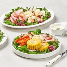 [풀무원 디자인밀] [풀무원]디자인밀 매일배송 칼로리 도시락 300샐러드Meal(주5일/총, 선택:01. 홈배송(가정배달)