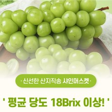 [산지직송]김천 샤인머스켓 고당도 애플 망고 청포도 국내산 샤인머스캣 설 명절 과일선물세트 2송이 3송이 1kg 2kg 2.5kg, 상품 1kg 내외(2송이)