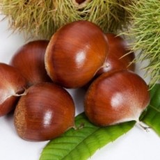 충주밤 (대) 2kg / 100% 맛 보장 (이장님네 농산물), 1박스, 충주밤(대) 2kg