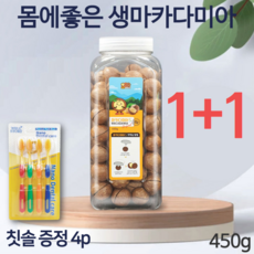 까먹는 마카디아 세다람쥐 코스트코 이시영 마카다미아s 넛트패밀리 생 통마카다미아 코스트코 다이어트 간식 사돈 어르신 할머니 유치원 인쉘 추석 선물 세트 s 450g 1+1 2개