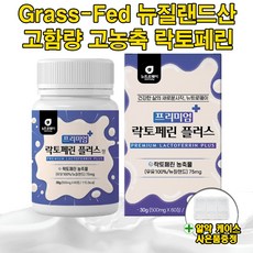 뉴질랜드산 고함량 고농축 락토페린 자연방목 초유 유산균 단백질 영양제 프리미엄 플러스, 1박스 2개월분