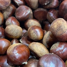 국내산 촉촉하고 맛있는 밤 햇밤 1kg 2kg, 햇밤 2kg (칼집O)