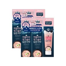 [신세계TV쇼핑]죽염 히말라야 핑크솔트 담은치약 플로럴민트 100g 3개입 x2개