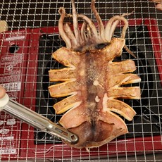 포항 구룡포오징어 반건조오징어 피데기오징어, 반건조피데기오징어 중 10미900g내외