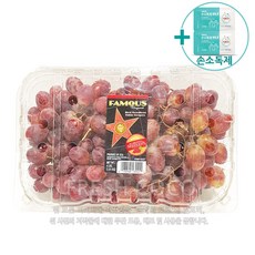 코스트코 씨없는 적포도 1.8kg 원산지 미국산 + 사은품