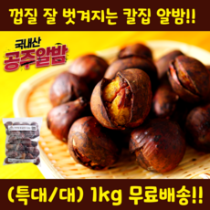 공주 알밤 칼집밤 햇밤, 특대