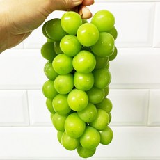 [GAP 인증] 김천 포도장인 샤인머스켓 특등급, 실속 2kg(2~4송이)