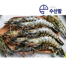 블랙타이거 새우 500g 1팩 캠핑 새우구이