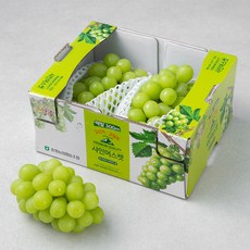 농협 상주 고당도 샤인머스켓, 1.5kg, 1팩