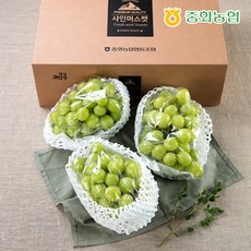 [중화농협] [농협]프리미엄 샤인머스켓 선물세트 2kg (3-4수), 상세 설명 참조, 상세 설명 참조