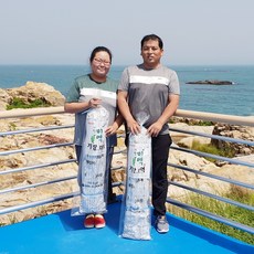 월전건어물 순풍순풍 기장산모미역 반손 10가치, 1개
